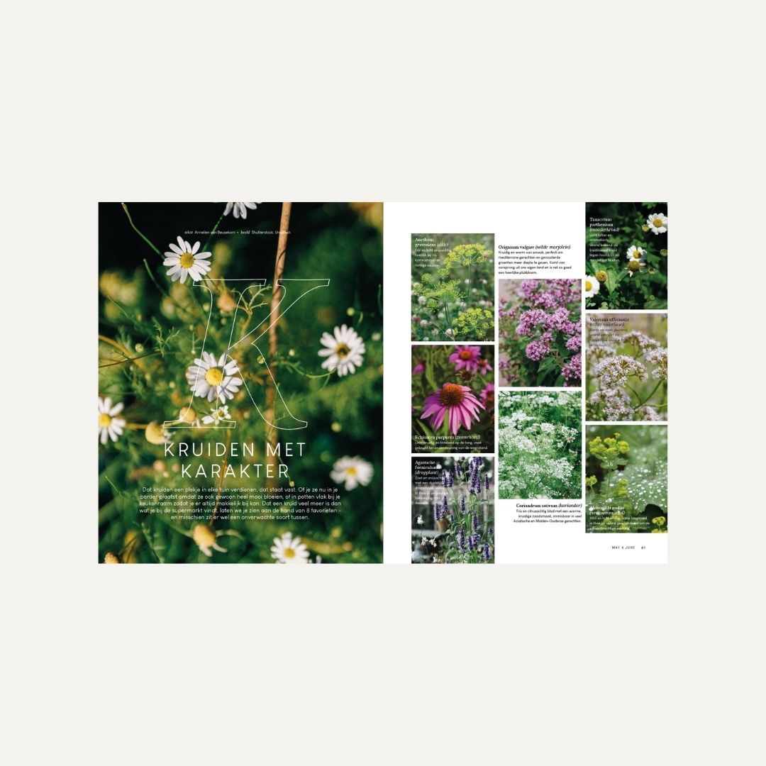 MAY & JUNE magazine #16