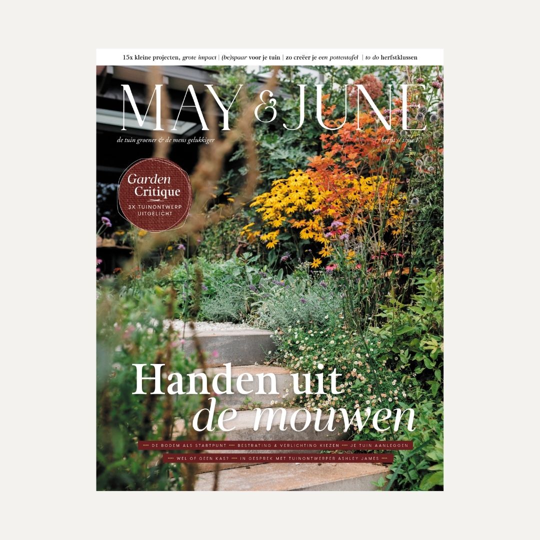 MAY & JUNE magazine #17