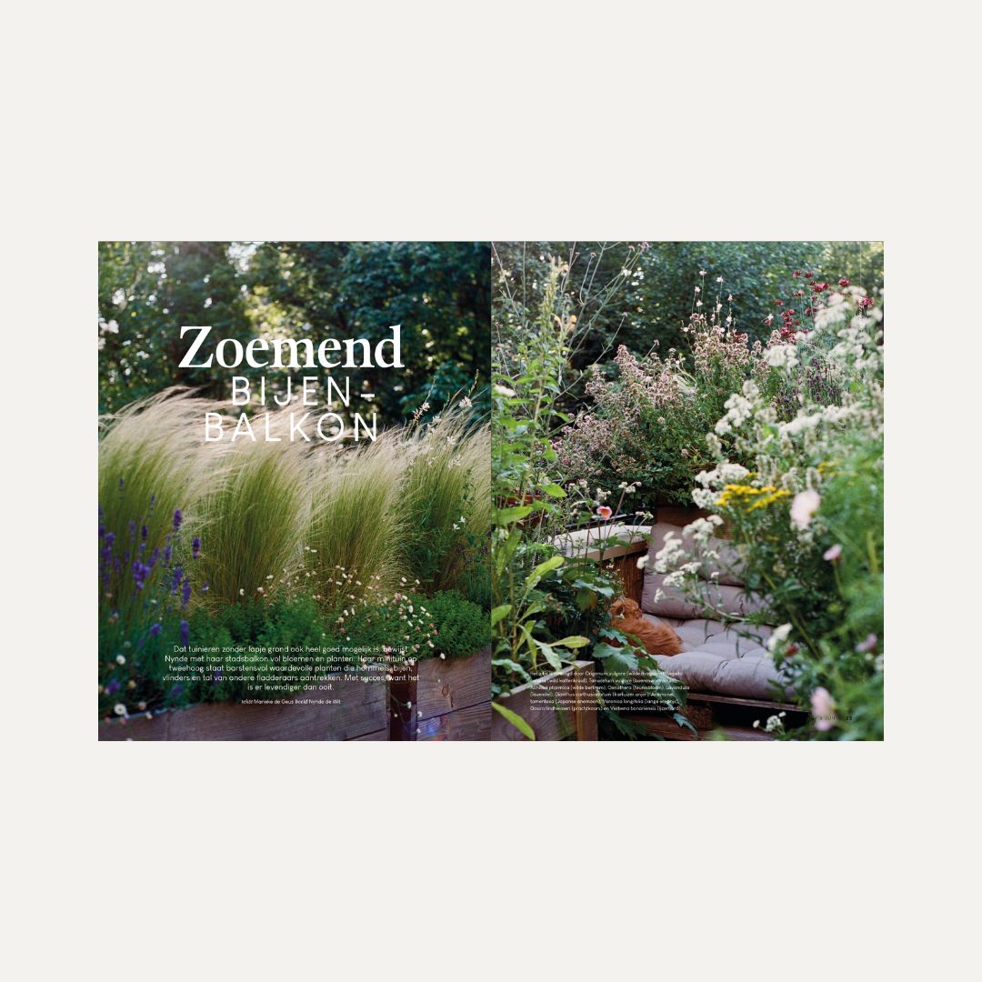 MAY & JUNE magazine #14