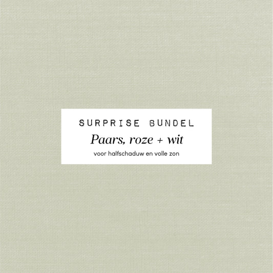 Verrassingsbundel - Paars, roze + wit