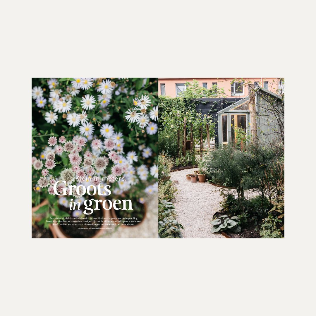 MAY & JUNE magazine #14