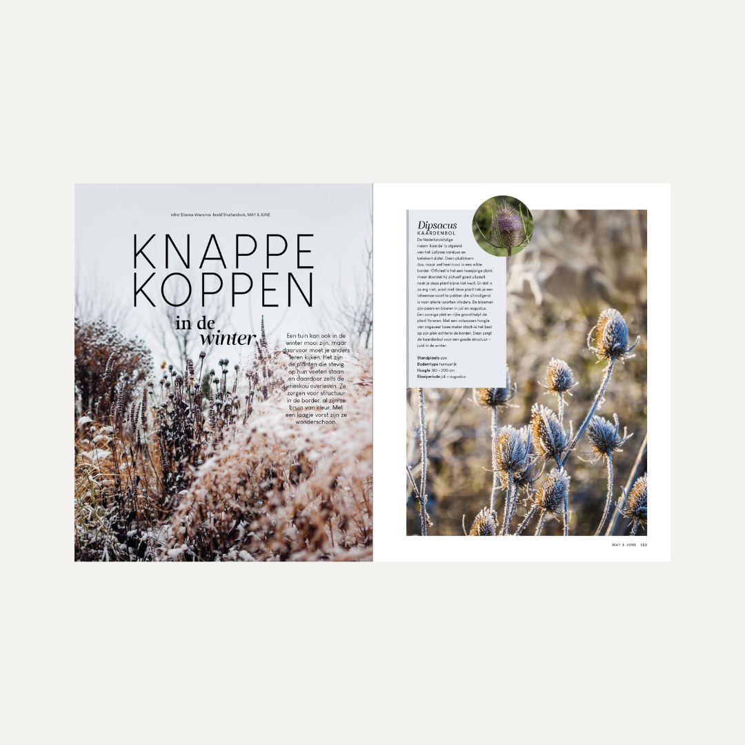 MAY & JUNE magazine #14