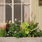 Geveltuin CRANNACOMBE voor (half)schaduw