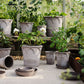 Elizabeth terracotta pot / Grey