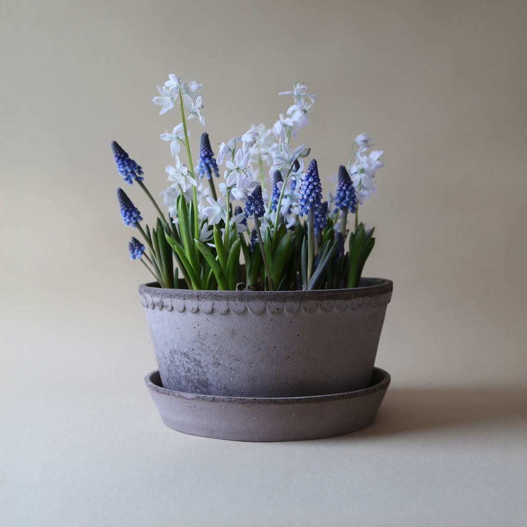 Helena terracotta lage pot / Grey