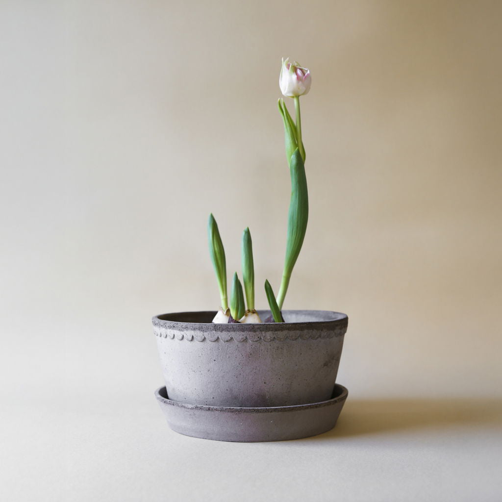 Helena terracotta lage pot / Grey