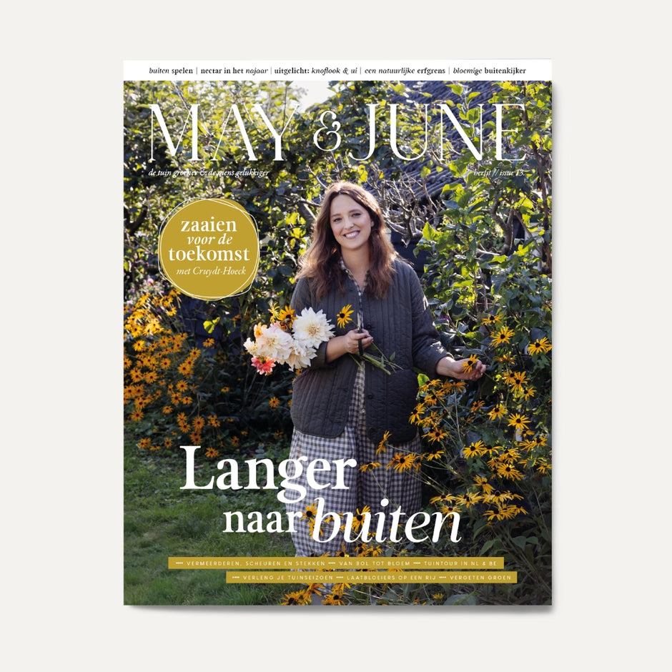 MAY & JUNE magazine | MAY & JUNE