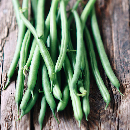 Stokslaboon 'Cobra' BIO