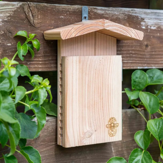 Observatiehotel voor metselbijen