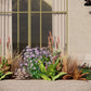 Geveltuin MIDHURST voor (half)schaduw