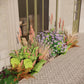 Geveltuin MIDHURST voor (half)schaduw