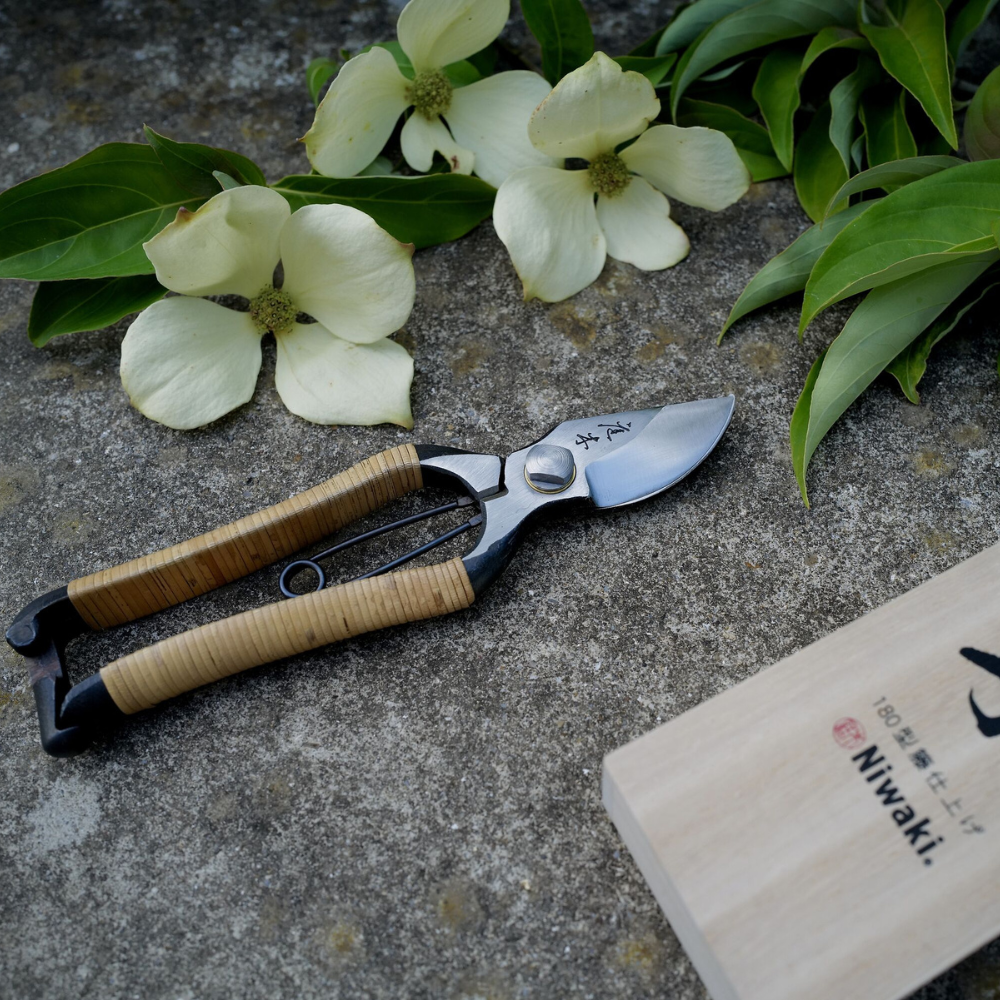 Niwaki Rattan Tsubo Snoeischaar