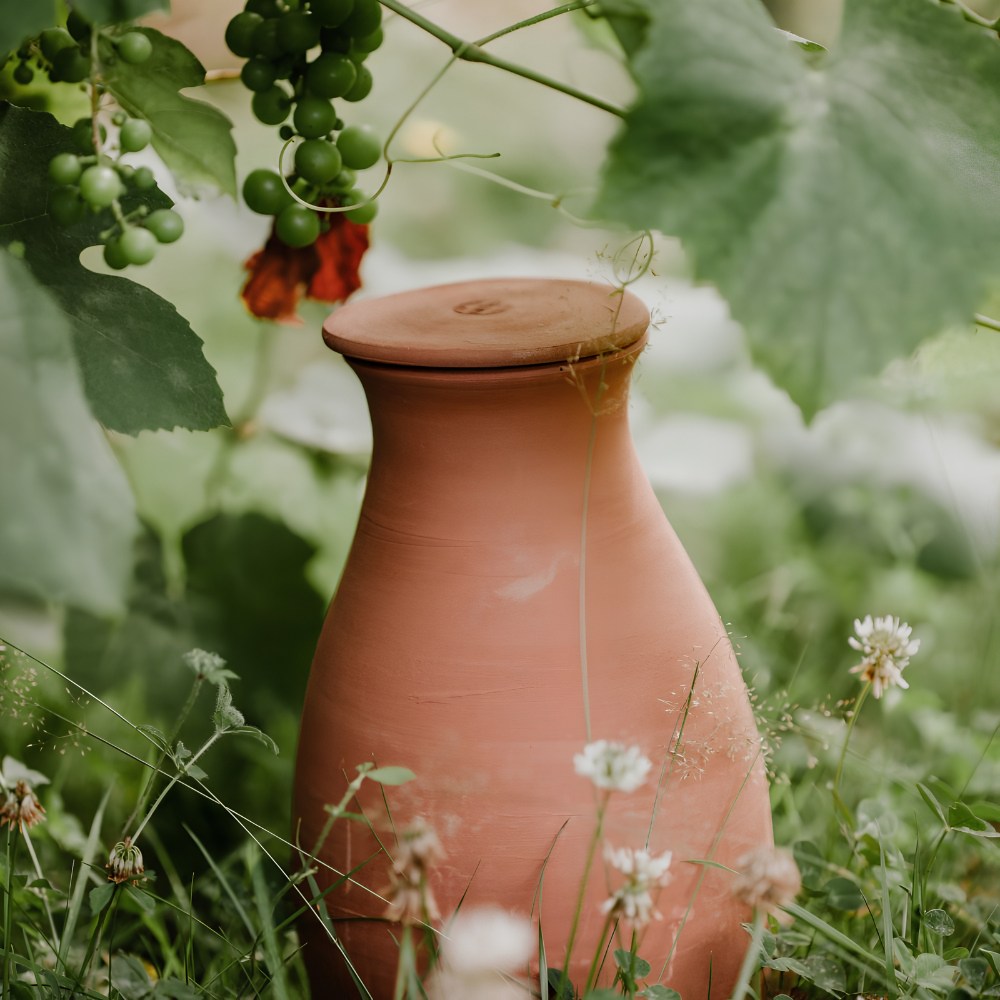 Olla terracotta waterreservoir
