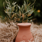 Olla terracotta waterreservoir