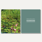 Zakboek voor de vijvertuin (Guido Lurquin)