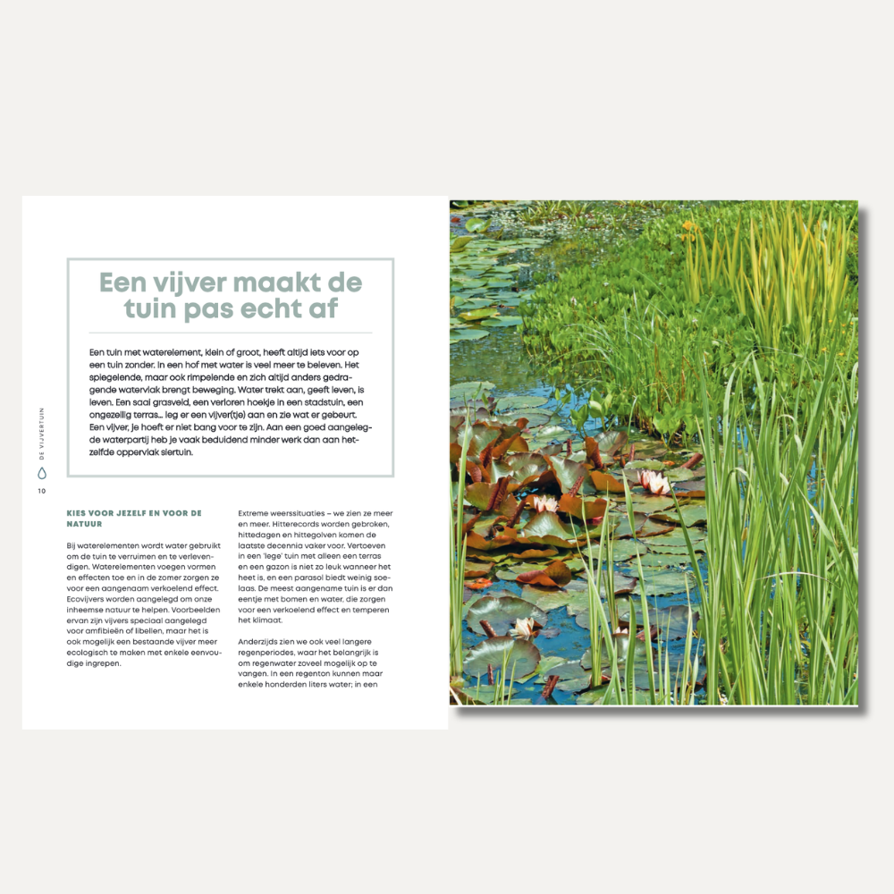 Zakboek voor de vijvertuin (Guido Lurquin)