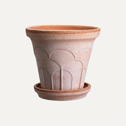 Fleur terracotta pot / Rosa