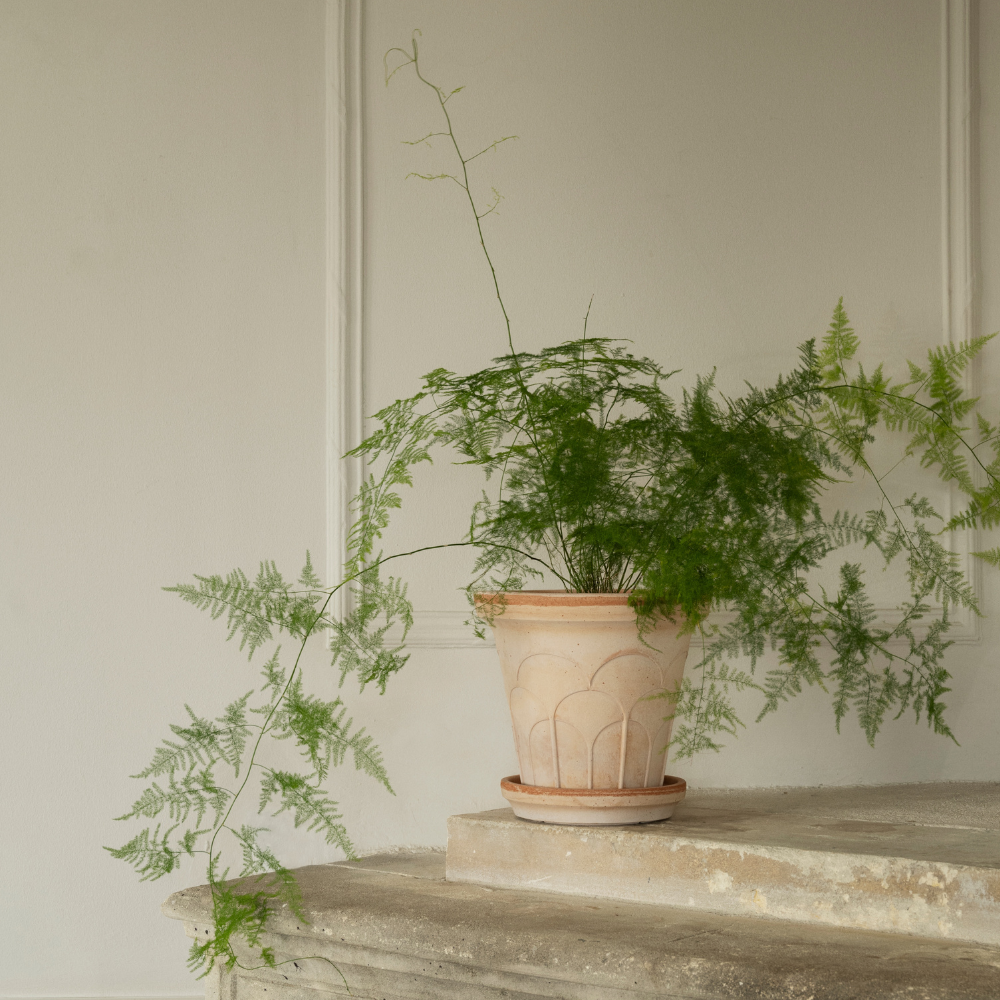 Fleur terracotta pot / Rosa