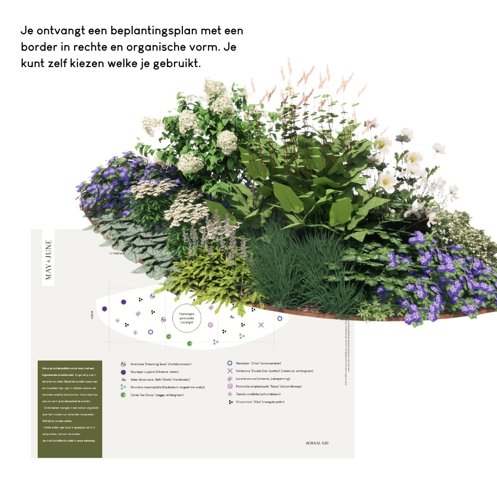 Borderpakket CRANBORNE voor halfschaduw