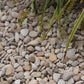 Castle grind 5 - 8 mm minibag 0,18 m3 (250 kg)