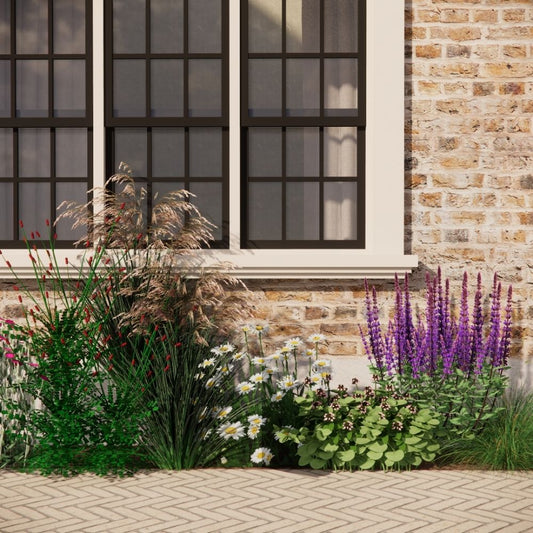 Geveltuin DULVERTON voor een 100% inheemse border