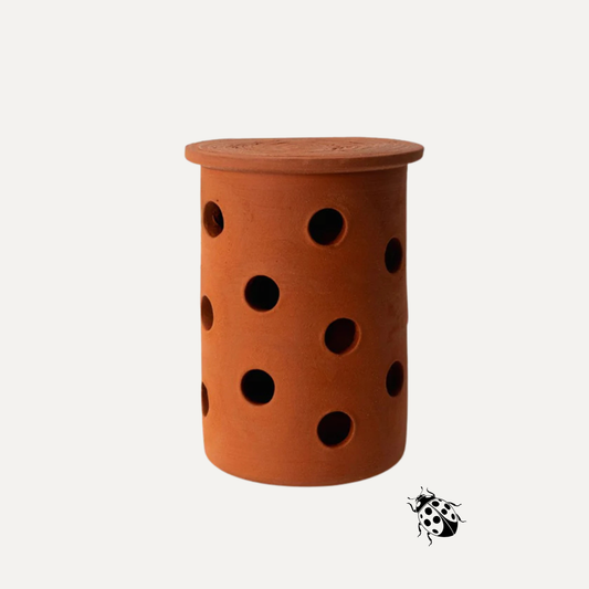 Lieveheersbeestjespot van Ceramics for Nature