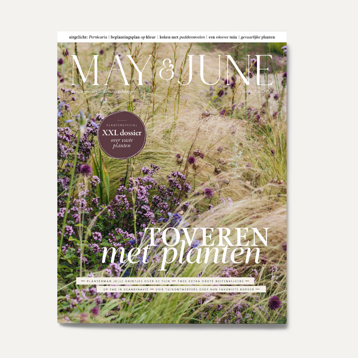 MAY & JUNE magazine | MAY & JUNE