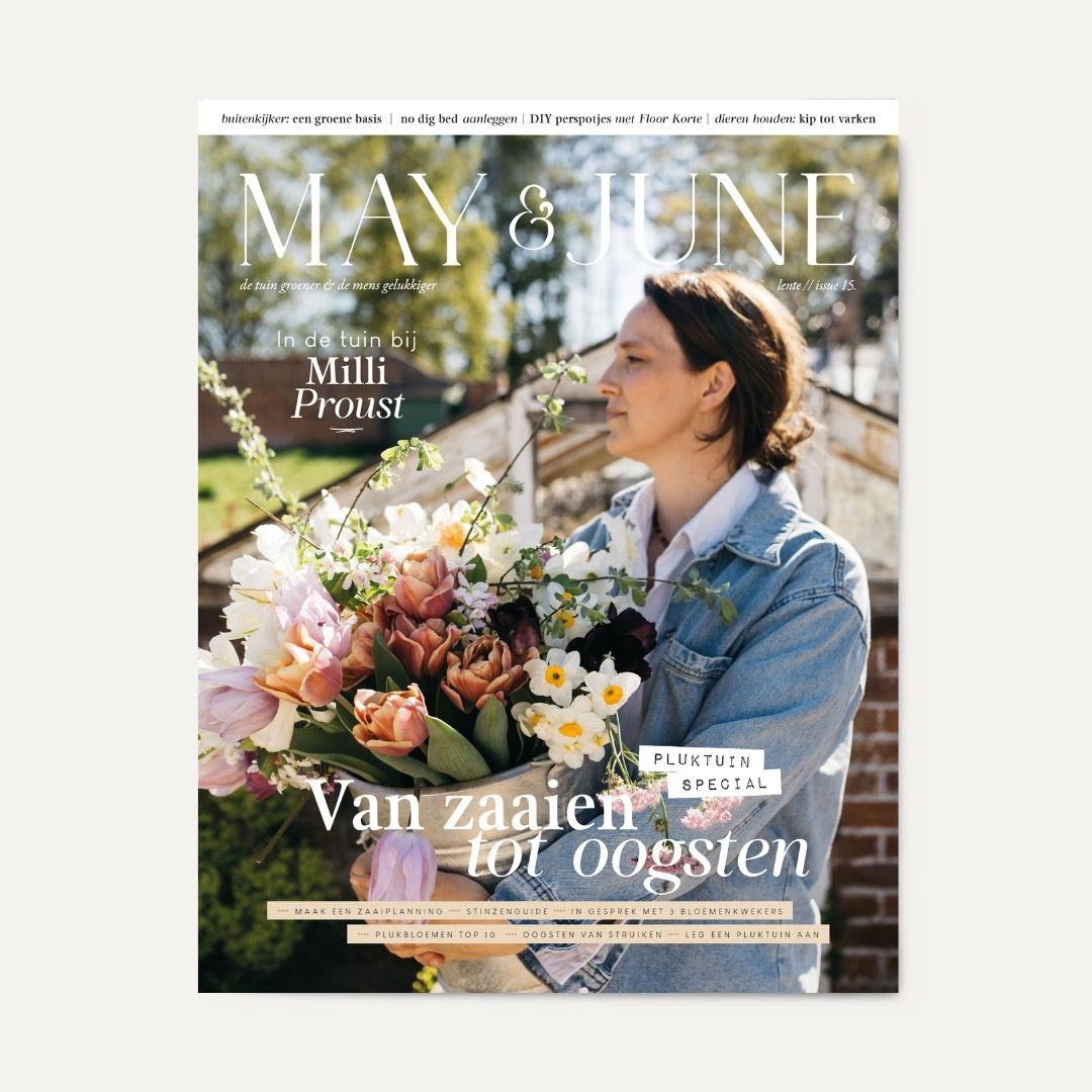 MAY & JUNE magazine #15