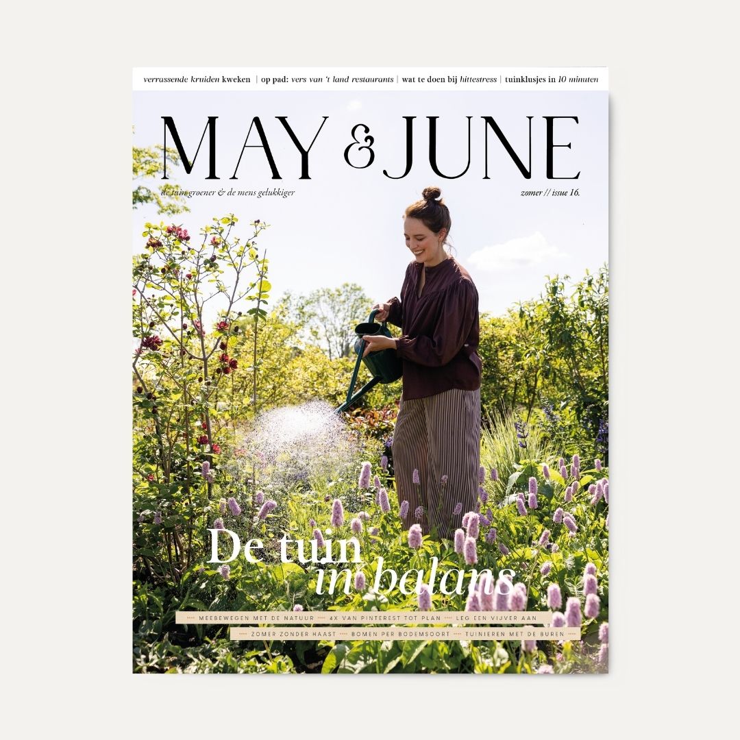 MAY & JUNE magazine #16