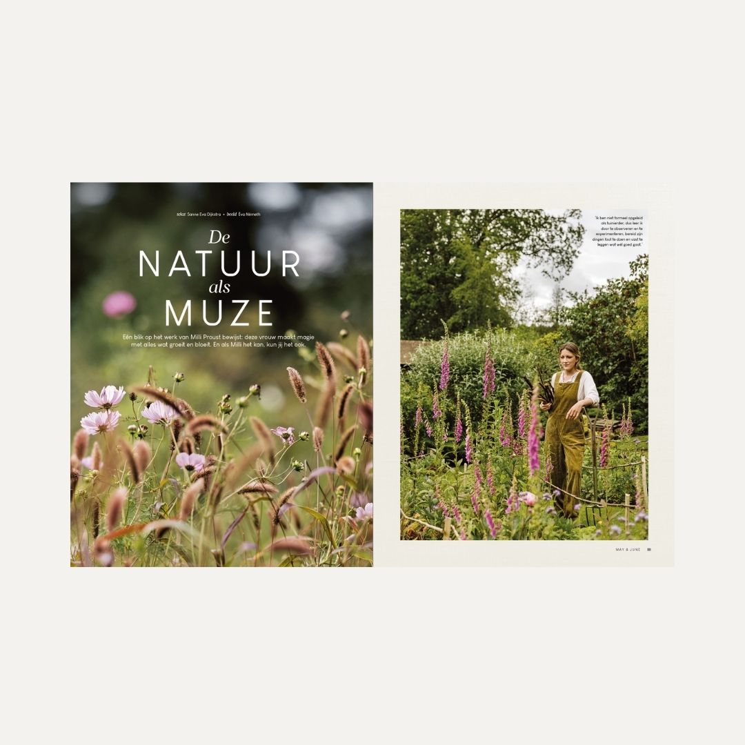 MAY & JUNE magazine #15