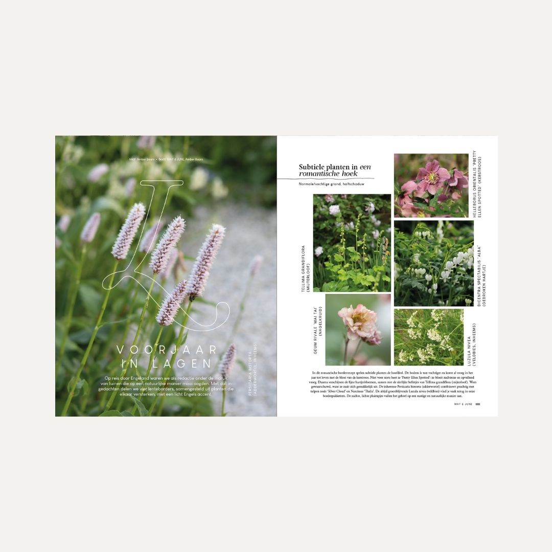 MAY & JUNE magazine #15