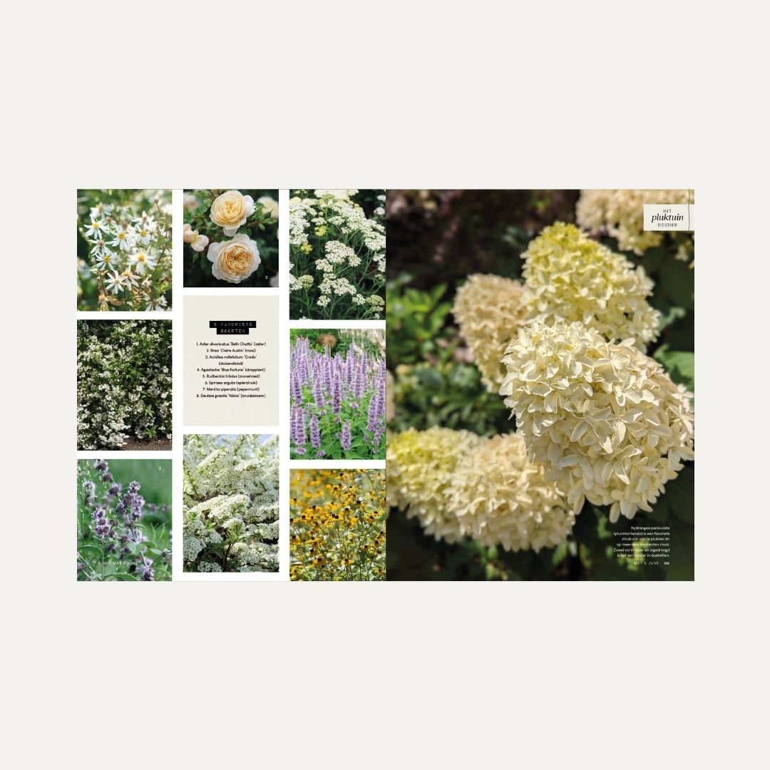 MAY & JUNE magazine #15