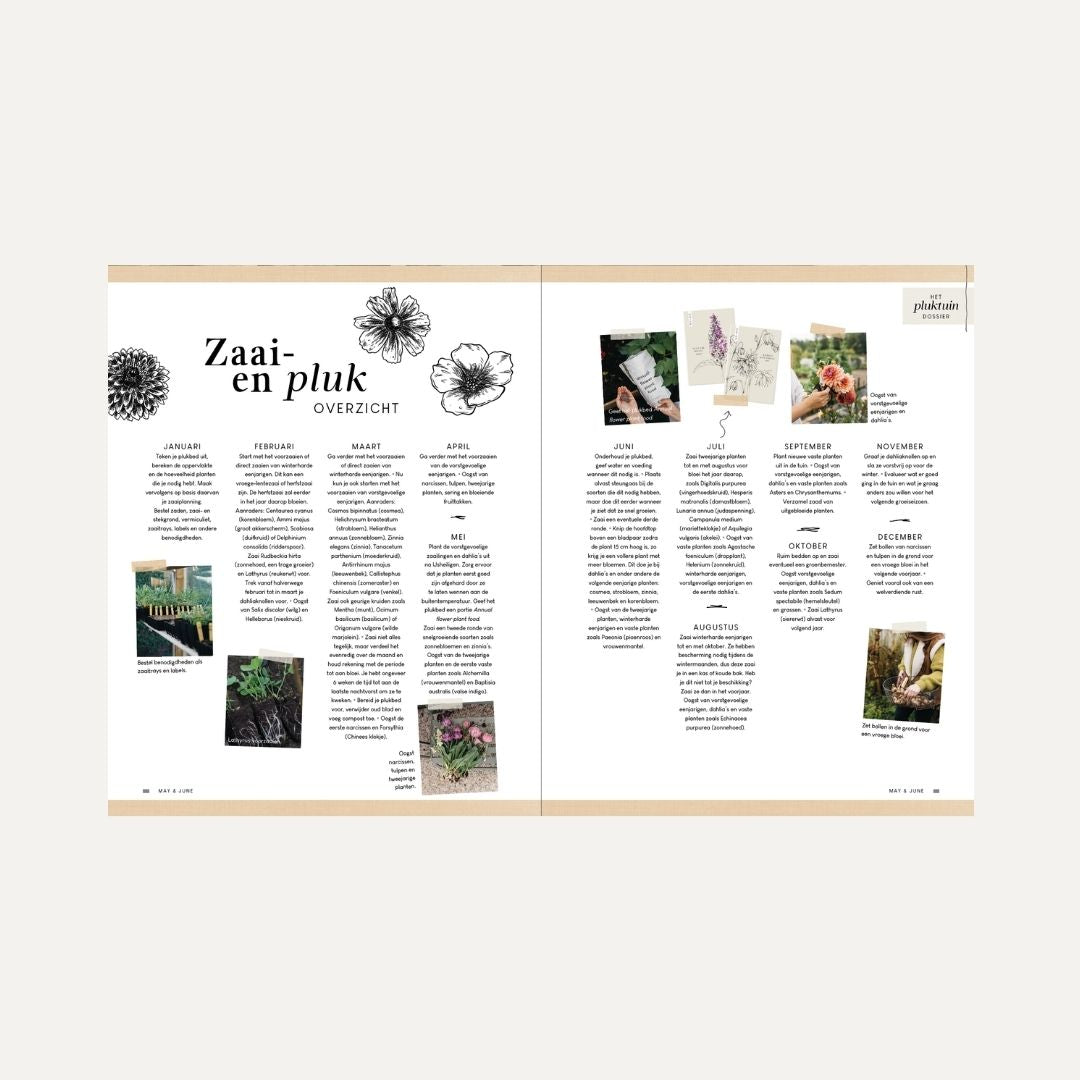 MAY & JUNE magazine #15