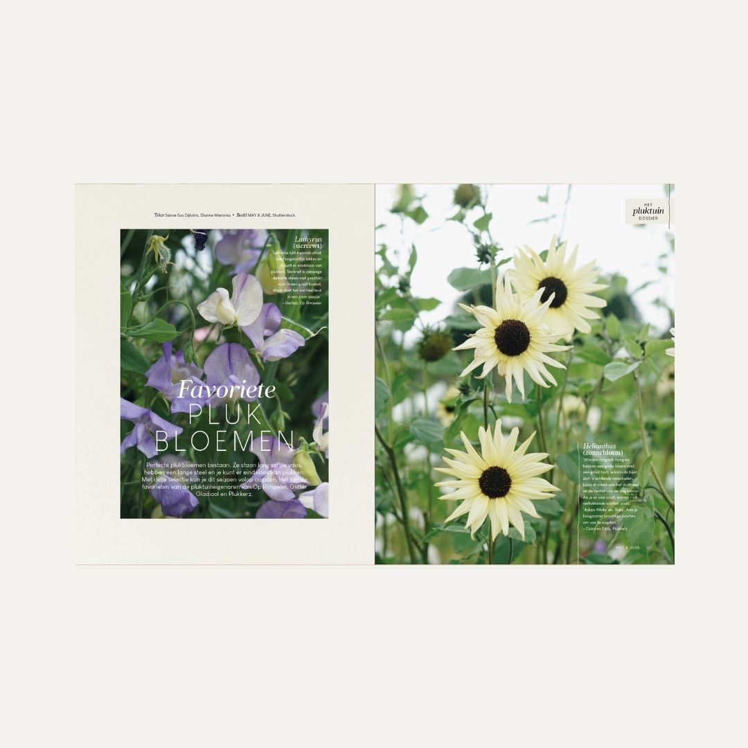 MAY & JUNE magazine #15