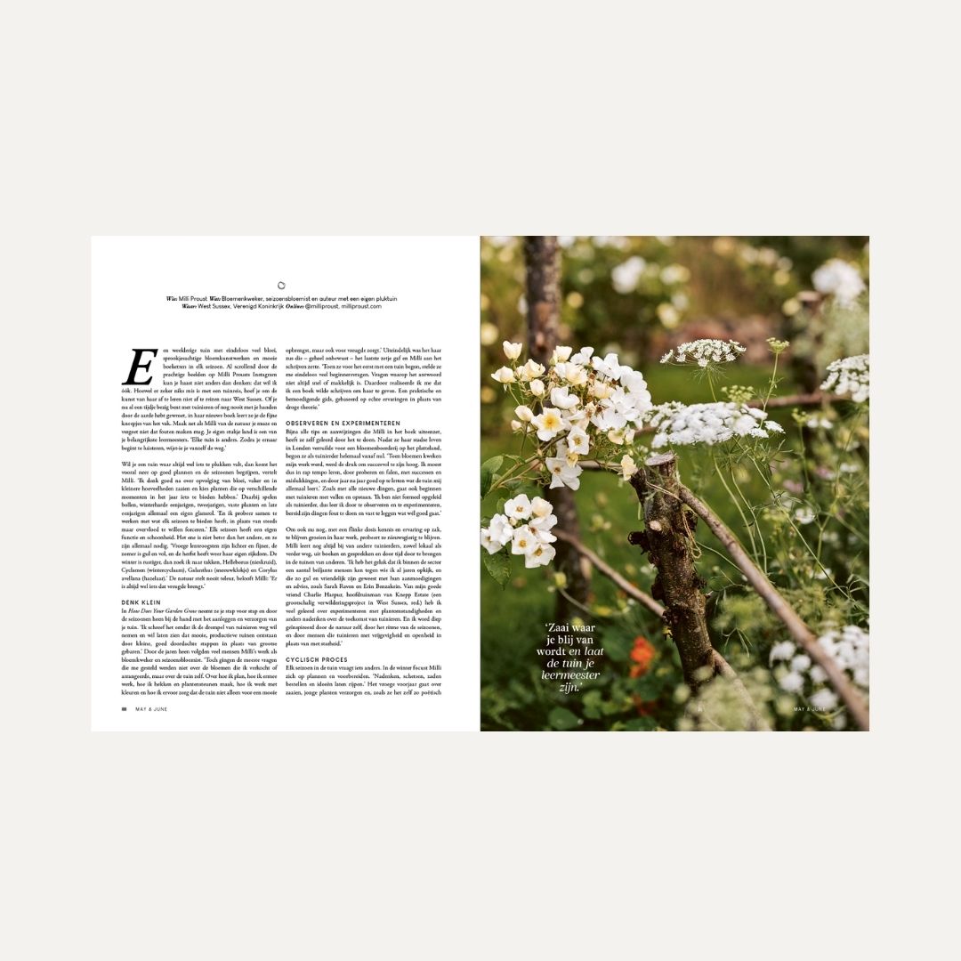 MAY & JUNE magazine #15