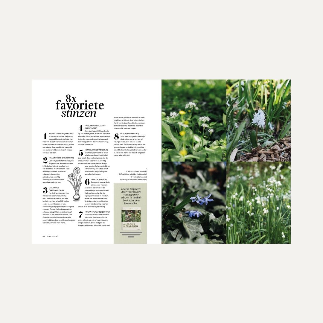 MAY & JUNE magazine #15