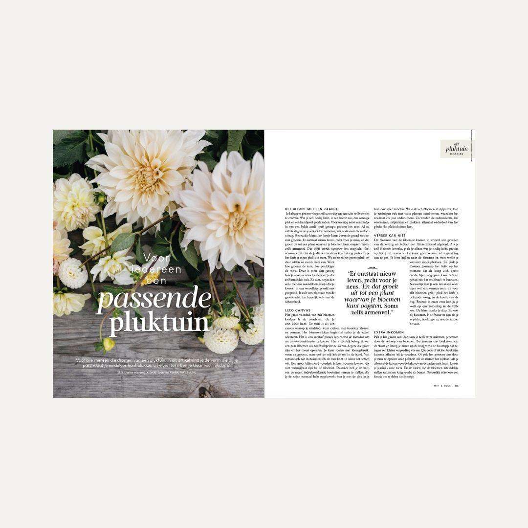 MAY & JUNE magazine #15