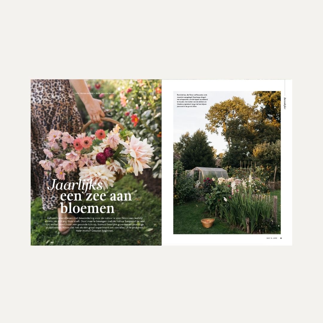 MAY & JUNE magazine #15