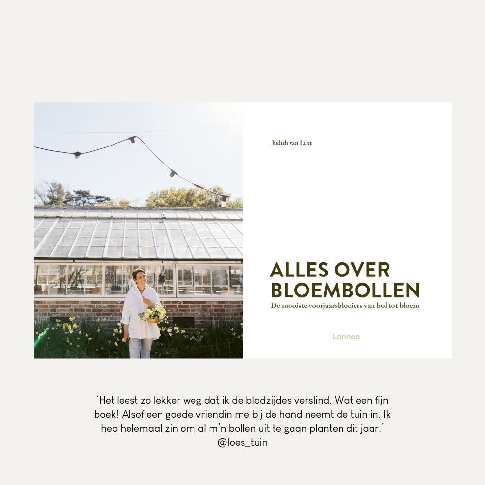 Alles over bloembollen (Uitgeverij Lannoo, 2025)