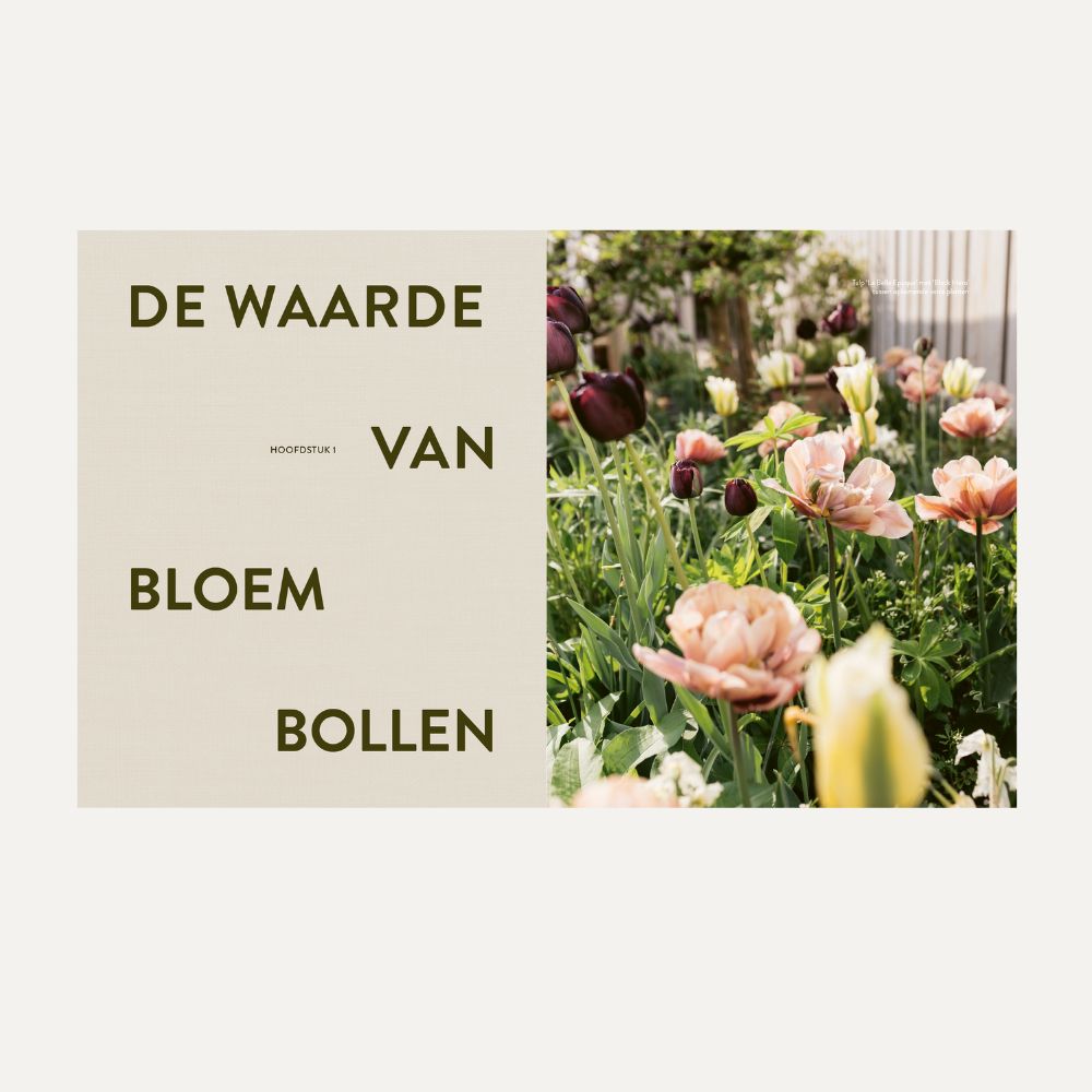 Alles over bloembollen (Uitgeverij Lannoo, 2025)