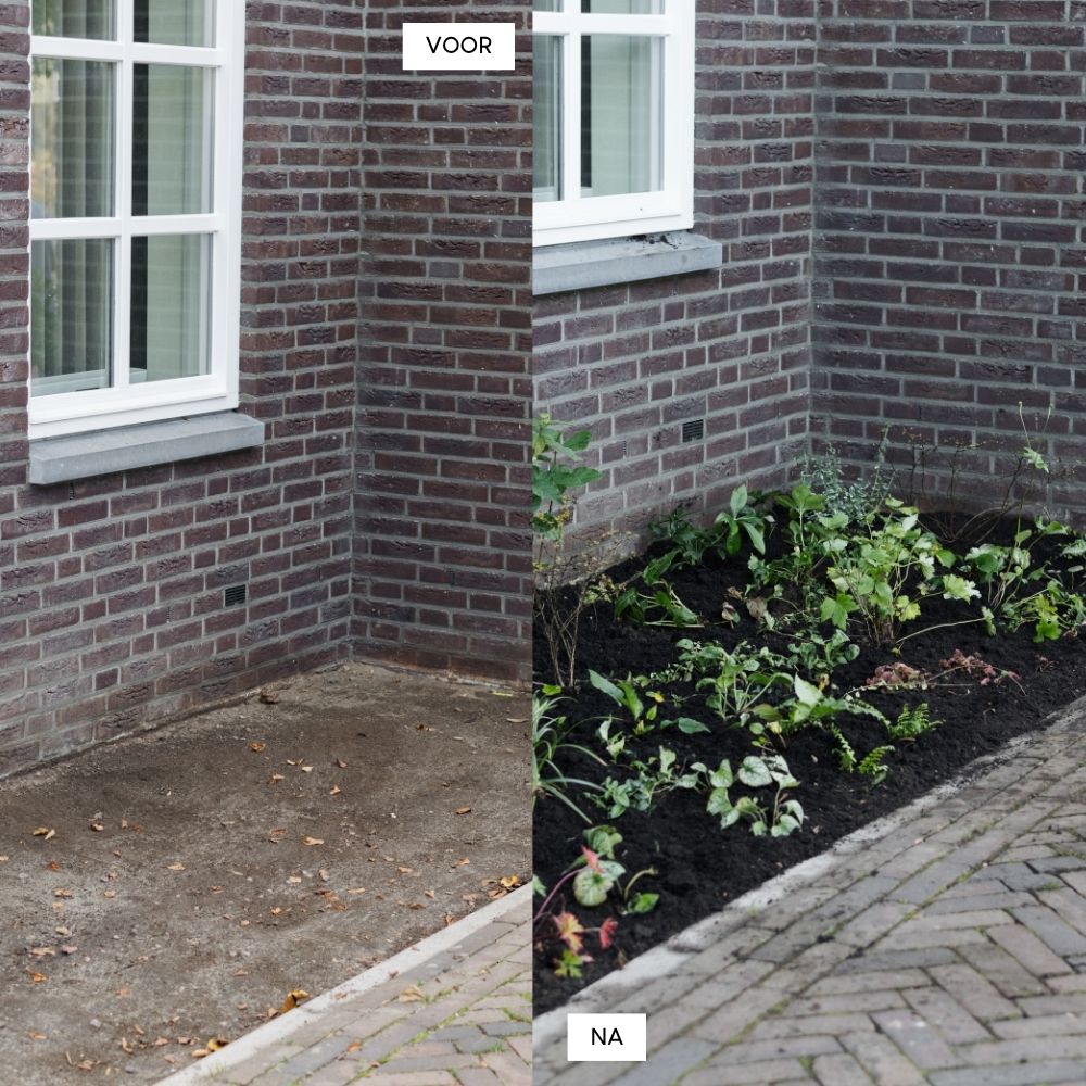 Borderpakket LYNDHURST voor volle zon