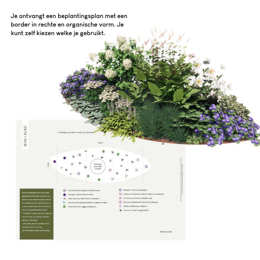 Borderpakket SANNE - MAY & JUNE x Laviesanne