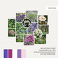 Borderpakket SANNE - MAY & JUNE x Laviesanne