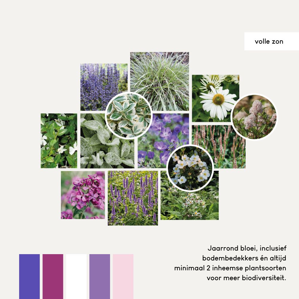 Borderpakket SANNE - MAY & JUNE x Laviesanne