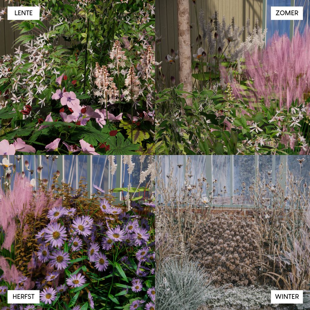 Borderpakket AMBERLEY voor (half)schaduw