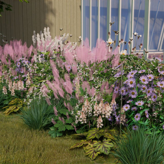 Borderpakket AMBERLEY voor (half)schaduw