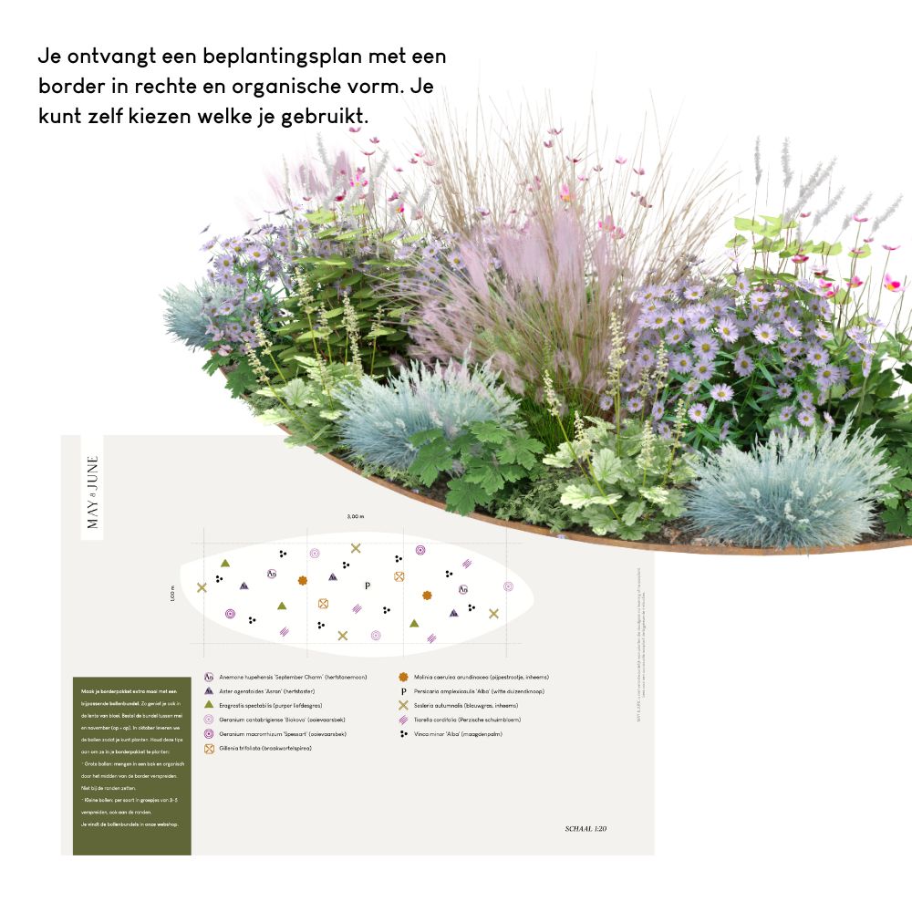 Borderpakket AMBERLEY voor (half)schaduw