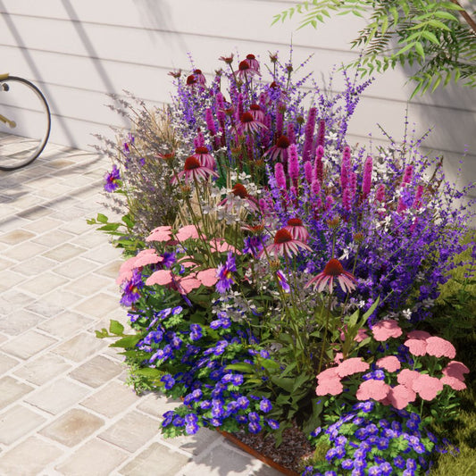 Borderpakket BURFORD voor volle zon