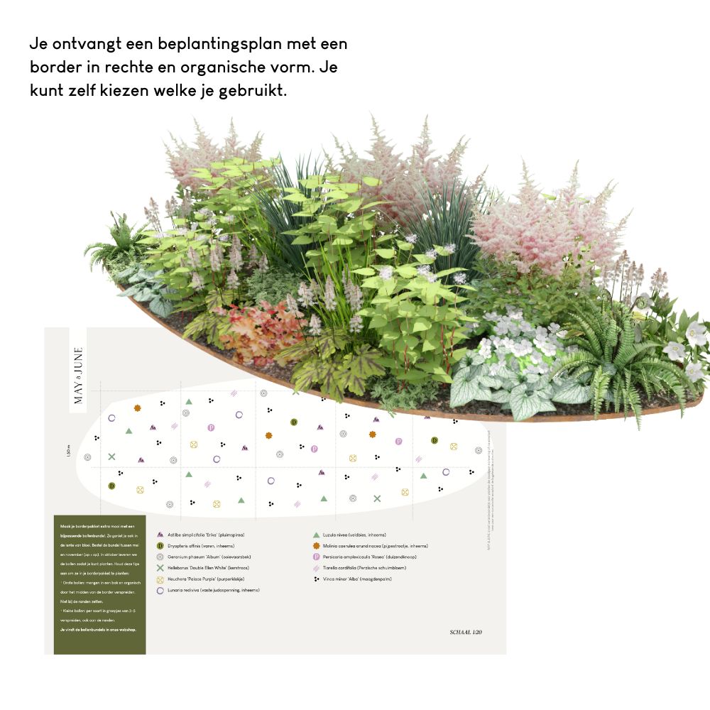Borderpakket CRANNACOMBE voor (half)schaduw