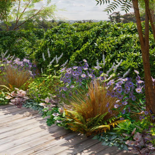 Borderpakket MIDHURST voor (half)schaduw